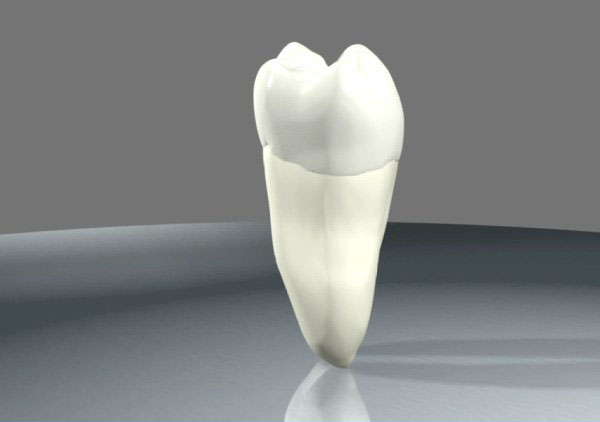 DENTALNA PATOLOGIJA I ENDODONCIJA